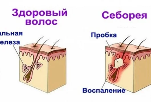 стоматологическая клиника твой доктор фото 7 - liftinglica.ru