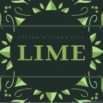 студия эстетики тела lime, фото 2 - liftinglica.ru